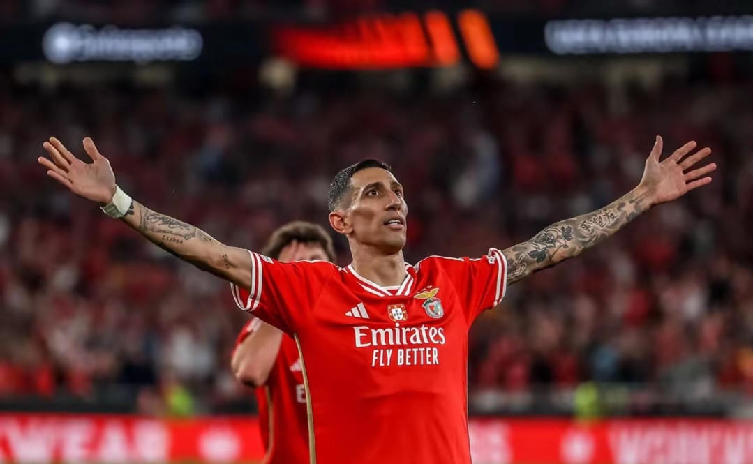 欧超杯集结日再迎强敌；奥兰多魔术造点机会；主帅态度——赛场秩序良好；训练强度明显提升的简单介绍